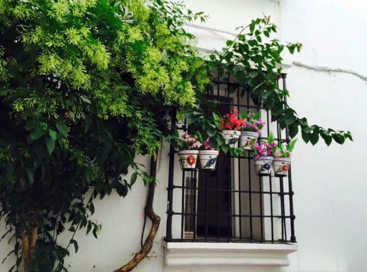 In Old Town Apartamento *